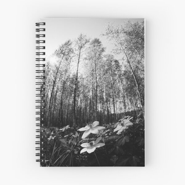 Item preview, High sky and sun. Wood Anemone bw designed and sold by Jouko Lehto Photography.