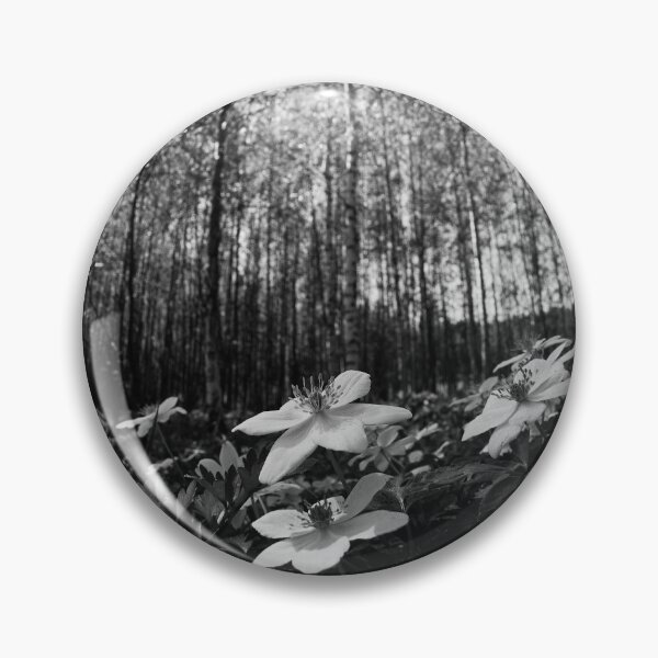 Item preview, High sky and sun. Wood Anemone bw designed and sold by Jouko Lehto Photography.