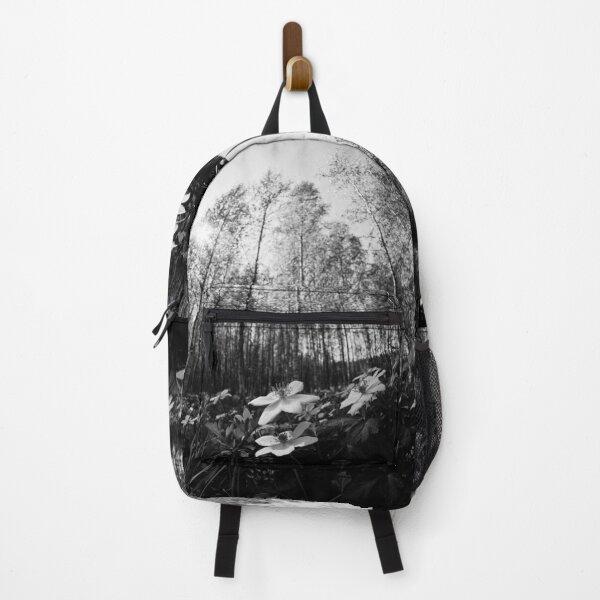 Item preview, High sky and sun. Wood Anemone bw designed and sold by Jouko Lehto Photography.