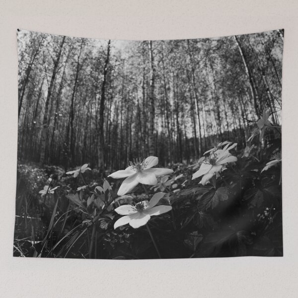 Item preview, High sky and sun. Wood Anemone bw designed and sold by Jouko Lehto Photography.