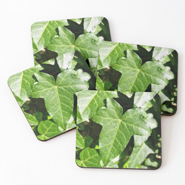 Item preview, Evergreen Ivy Leaves designed and sold by Gaboro.
