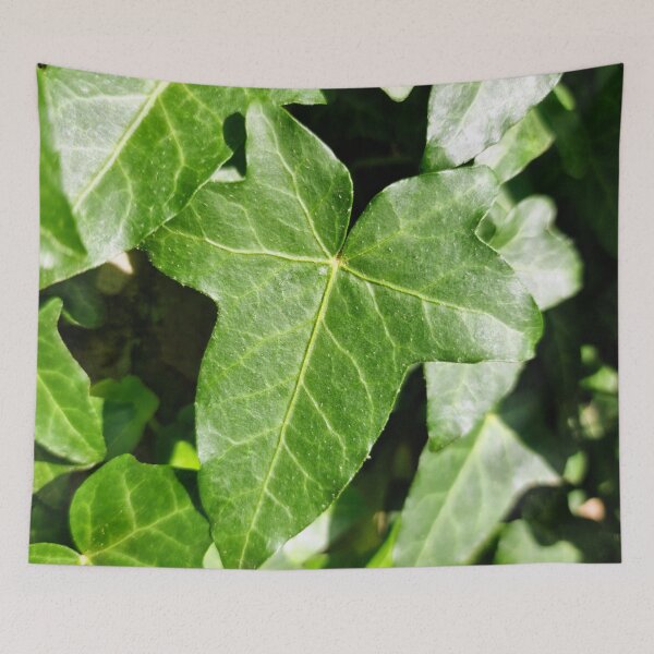 Item preview, Evergreen Ivy Leaves designed and sold by Gaboro.