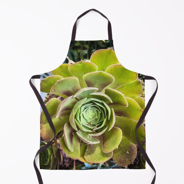 Item preview, Aeonium in the Garden designed and sold by Douglas E. Welch Design and Photography.