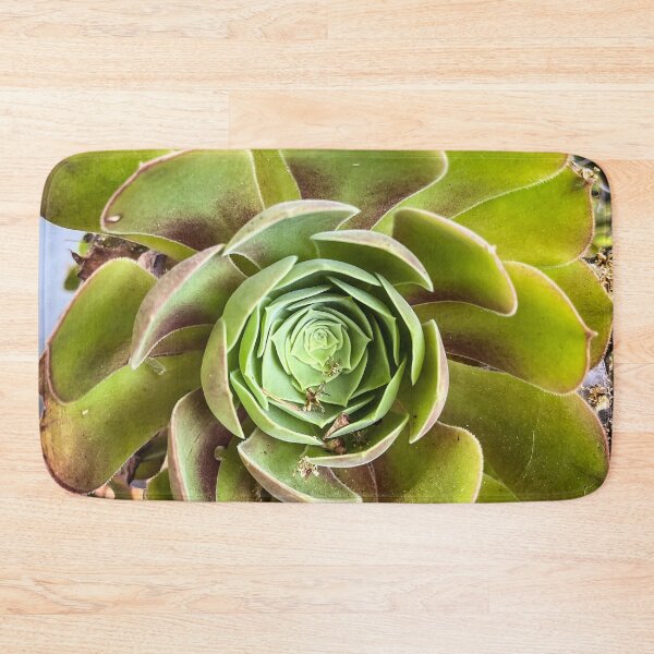 Item preview, Aeonium in the Garden designed and sold by Douglas E. Welch Design and Photography.