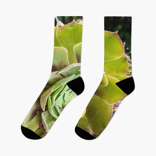 Item preview, Aeonium in the Garden designed and sold by Douglas E. Welch Design and Photography.