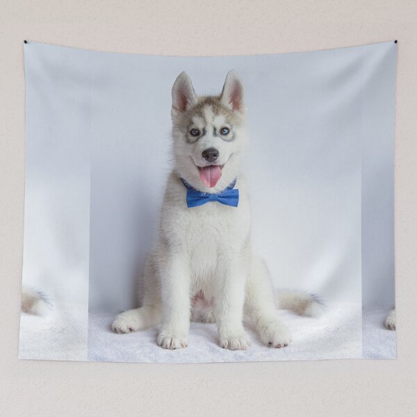 Item preview, Well Attired designed and sold by May Finch.