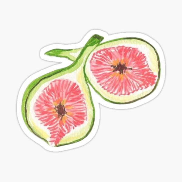 Item preview, aesthetic sticker, fruits designed and sold by kattcherry.