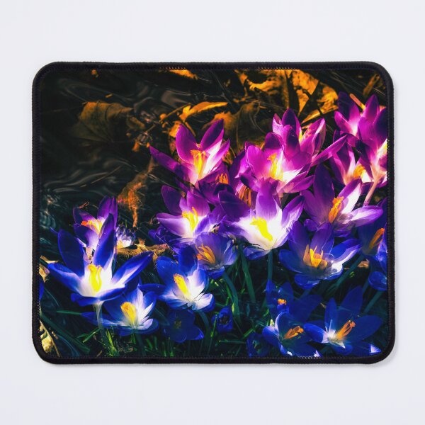 Item preview, Flamboyance designed and sold by Jim Love.