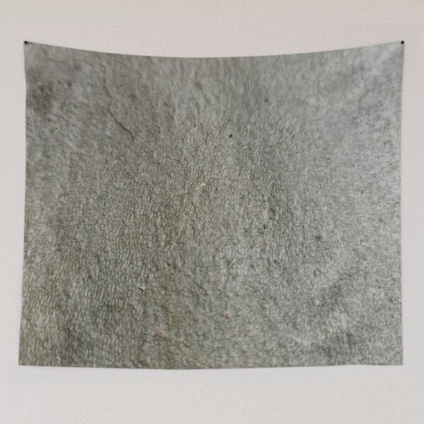 Item preview, Plane Tree Bark - Almost Even Surface designed and sold by Gaboro.