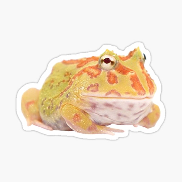 Item preview, Pac Man Frog - Ceratophrys cranwelli designed and sold by beescript.