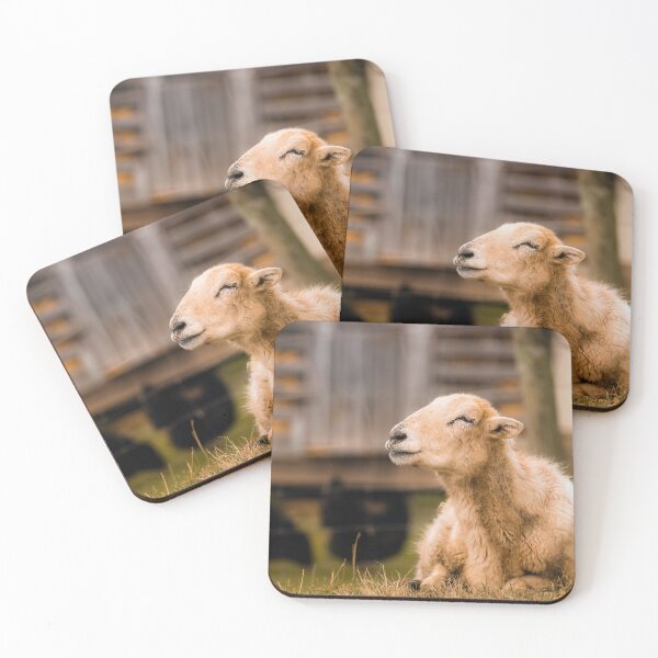 Item preview, Wooly Contentment designed and sold by Jim Love.
