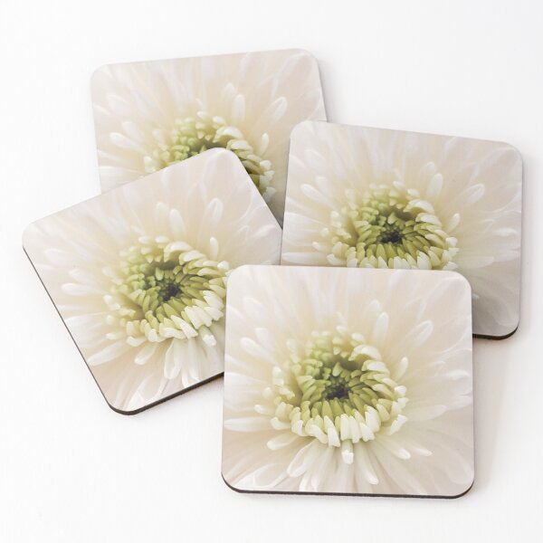 Item preview, White flower close up designed and sold by Jmb67.