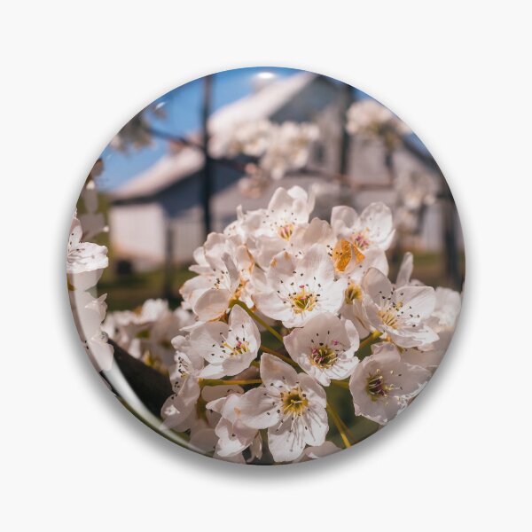 Item preview, Springtime Scene designed and sold by Jim Love.
