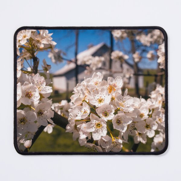 Item preview, Springtime Scene designed and sold by Jim Love.