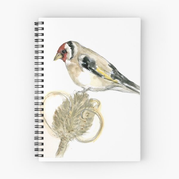 Item preview, Goldfinch on Teasel Pod designed and sold by Barbara E Wyeth.