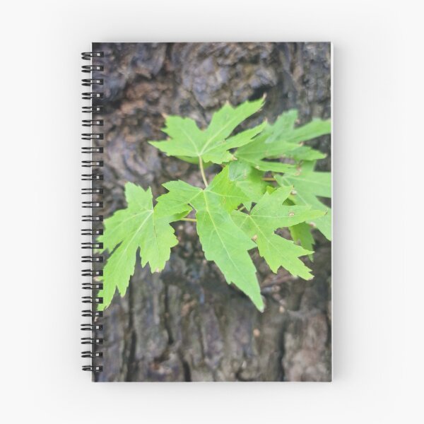 Item preview, Fresh Leaves on the Trunk - Silver Maple designed and sold by Gaboro.