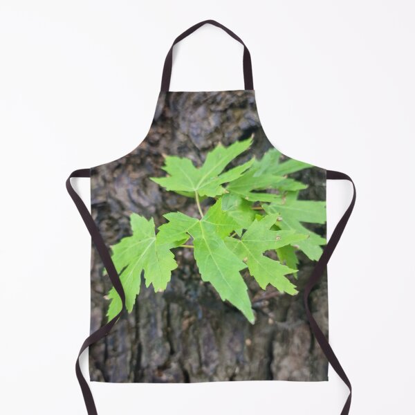 Item preview, Fresh Leaves on the Trunk - Silver Maple designed and sold by Gaboro.