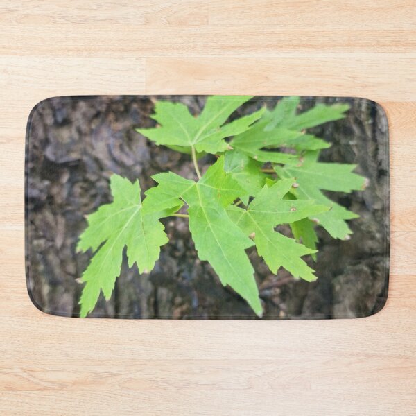 Item preview, Fresh Leaves on the Trunk - Silver Maple designed and sold by Gaboro.