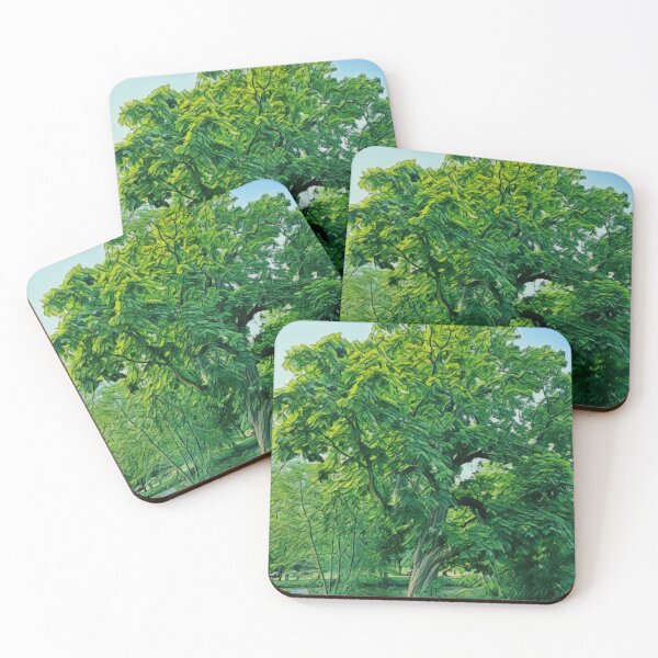 Item preview, #25 Vondelpark - Amsterdam - Street Photography 22 May 2024 designed and sold by IntFix.