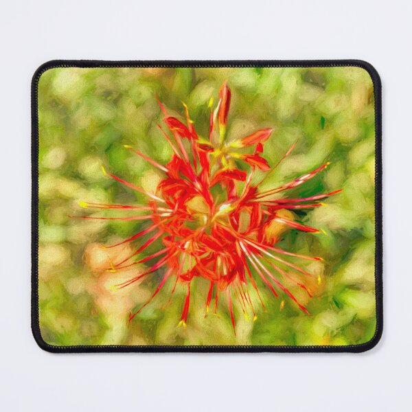 Item preview, Spider Lily Pop designed and sold by Kay Brewer.