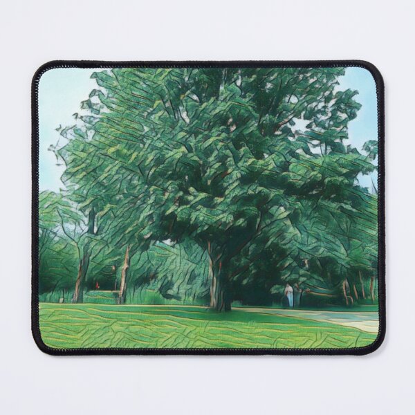 Item preview, #27 Vondelpark - Amsterdam - Street Photography 22 May 2024 designed and sold by IntFix.