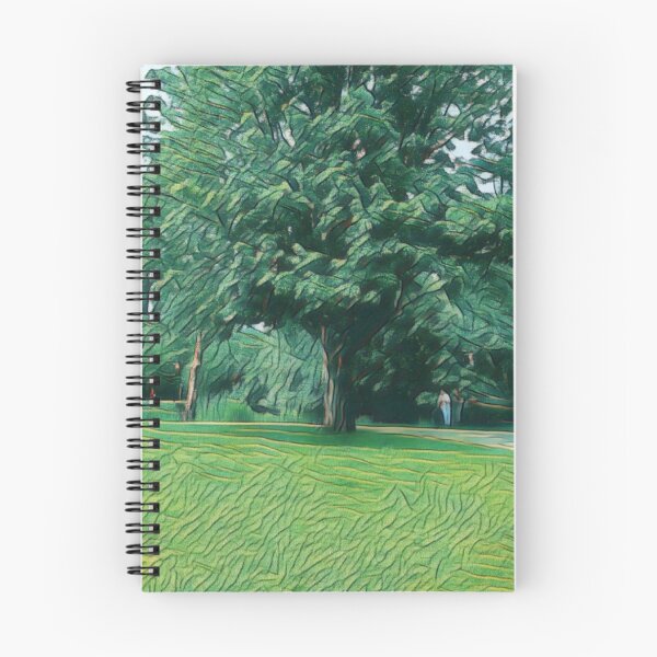 Item preview, #27 Vondelpark - Amsterdam - Street Photography 22 May 2024 designed and sold by IntFix.