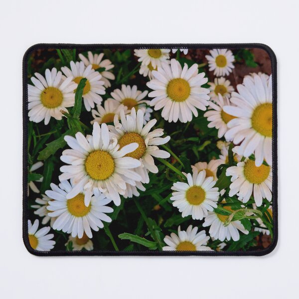 Item preview, chamomile flowers designed and sold by IgorKovalenko.