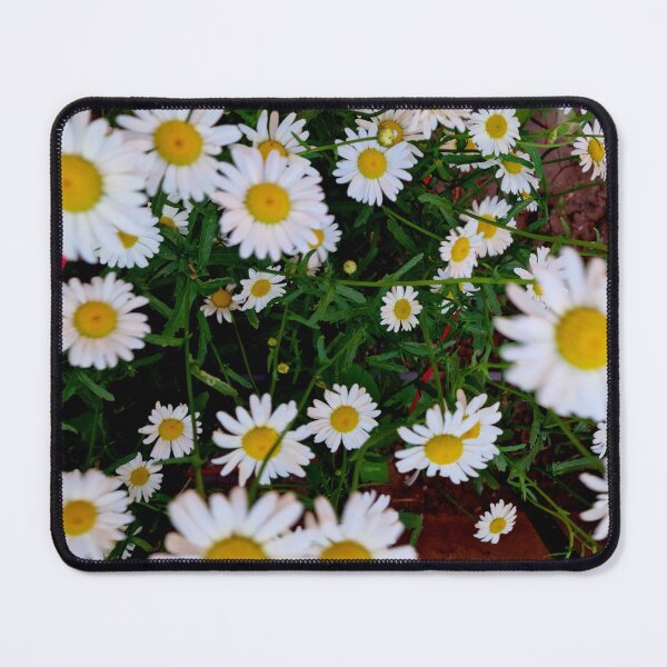 Item preview, chamomile flowers designed and sold by IgorKovalenko.