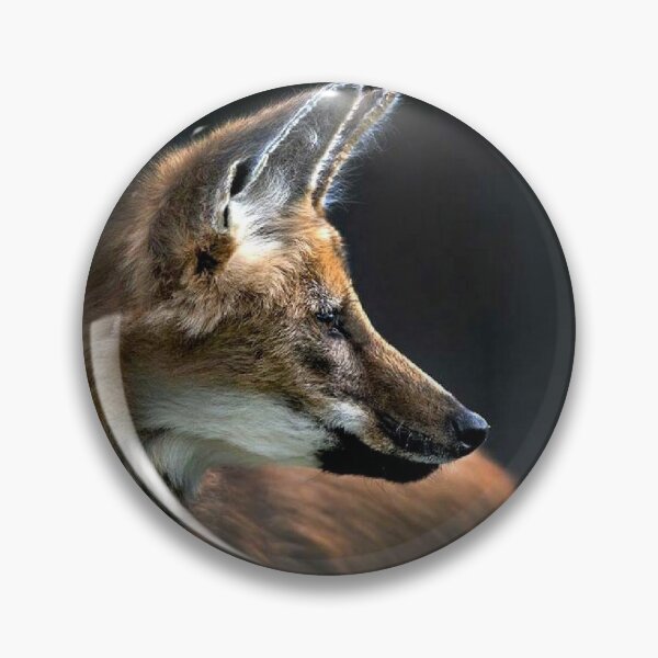 Item preview, Maned Wolf  designed and sold by KrisSJ12.