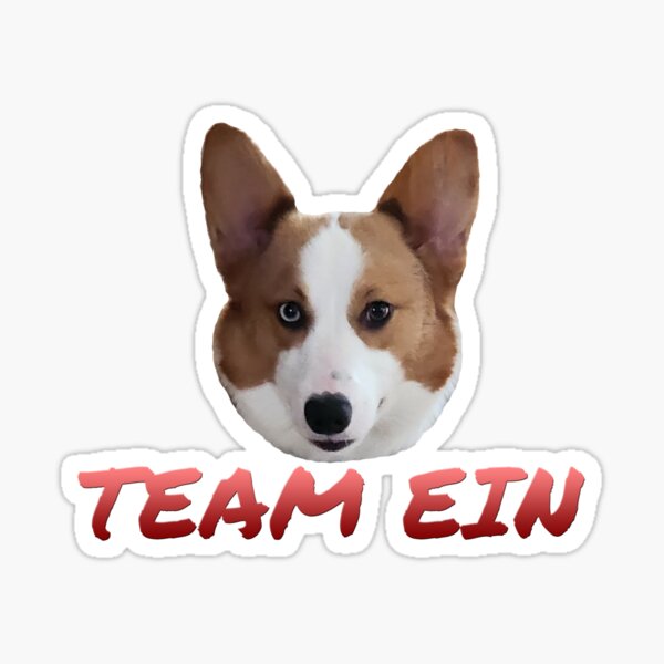 Team Ein Sticker