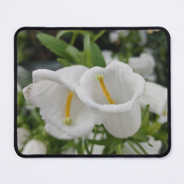 Item preview, Canterbury Bells designed and sold by Michpictures001.