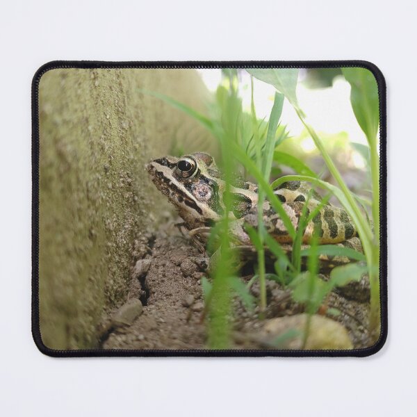 Item preview, Toad designed and sold by Michpictures001.