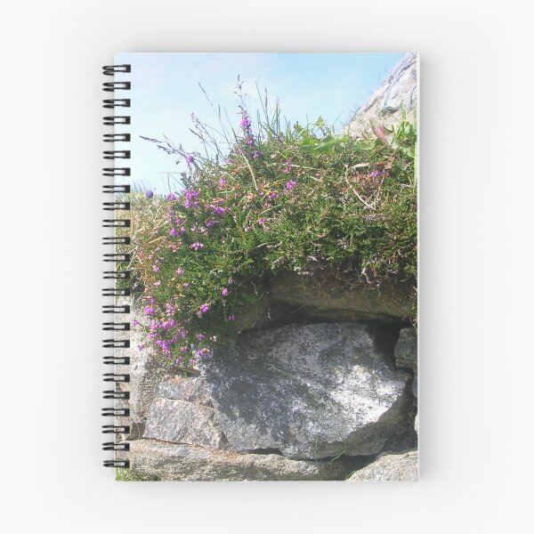 Item preview, Heather On A Stone Wall - Isle Of Lewis UK designed and sold by lezvee.
