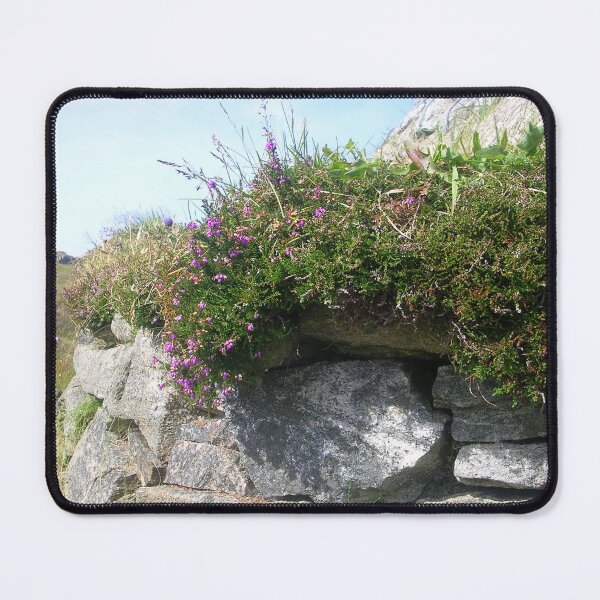 Item preview, Heather On A Stone Wall - Isle Of Lewis UK designed and sold by lezvee.