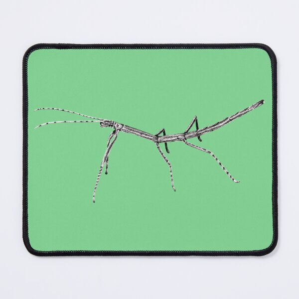 Item preview, Stick insect designed and sold by LorenDowding.