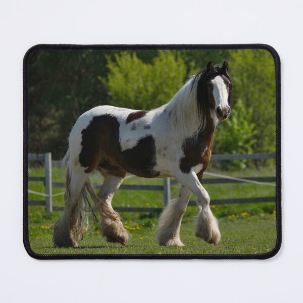 Item preview, Horse  designed and sold by ART-SUNRISE.