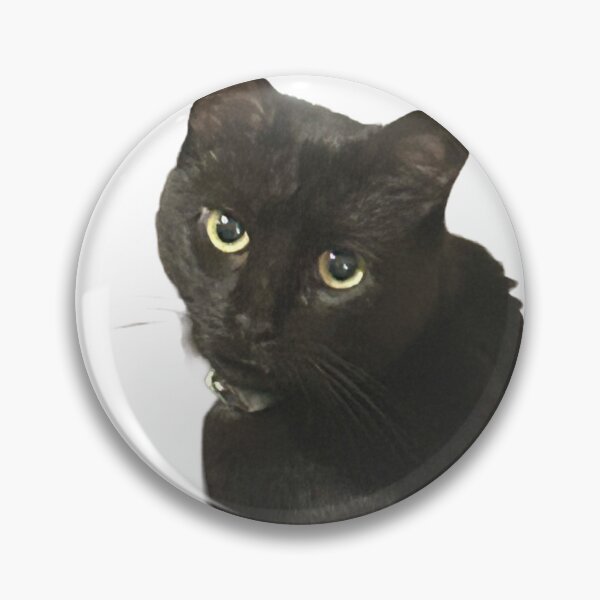 Item preview, Hallie black cat designed and sold by Lauracolleen3.