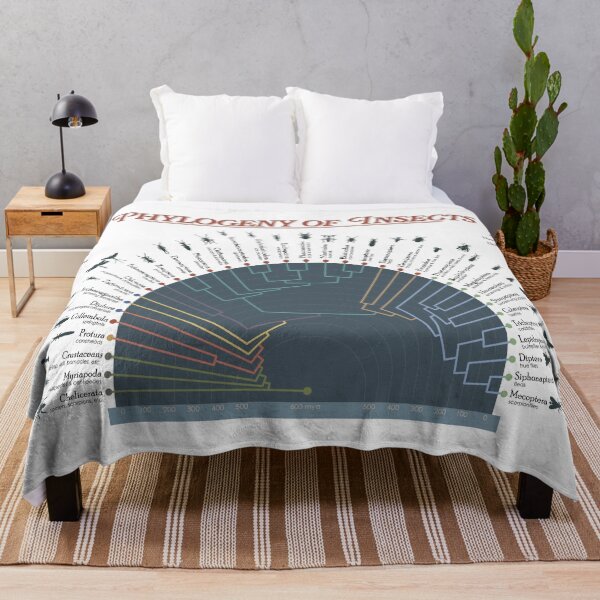 Item preview, Phylogeny of Insects w/ clear background designed and sold by Jazpb.