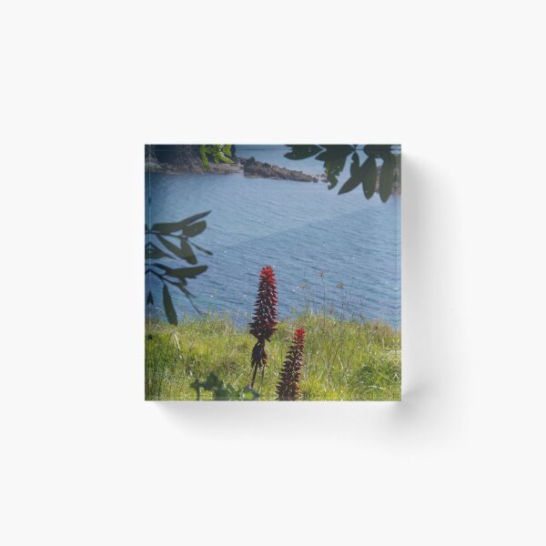 Item preview, Putataua Bay, North Island, NZ designed and sold by lezvee.