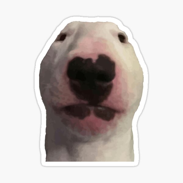 Item preview, Walter Dog Meme designed and sold by IcePools.