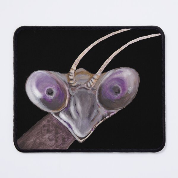 Item preview, Cute Bug Mantid (Mantis religiosa) With Big Eyes Illustration designed and sold by Julia Doria.