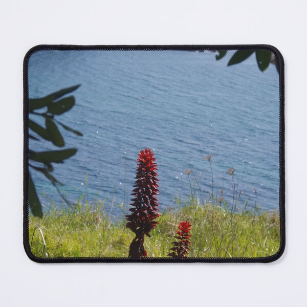 Item preview, Putataua Bay, North Island, NZ designed and sold by lezvee.