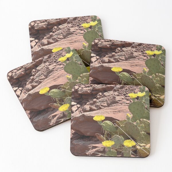 Item preview, Desert Blossoms designed and sold by Alt-C Music.