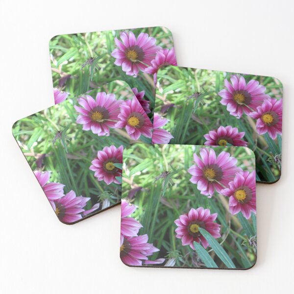 Item preview, Pink Gazanias designed and sold by PresMatPlays.