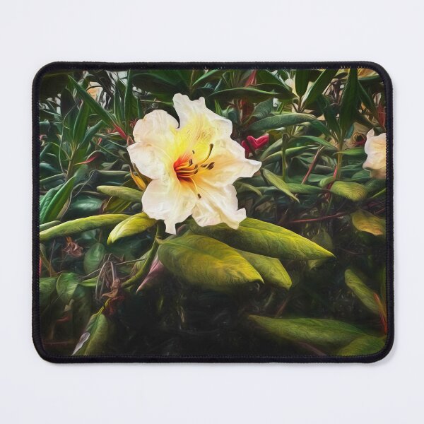 Item preview, Before Sunset designed and sold by Steve Walser.