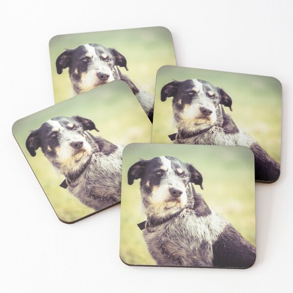 Item preview, Farm Dog designed and sold by diamonddove.