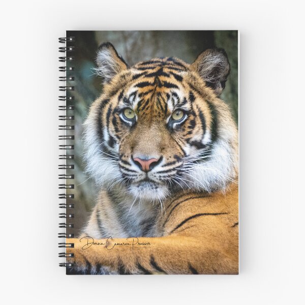 Item preview, The Piercing Stare of a Tiger designed and sold by Donna Cameron-Prosser.