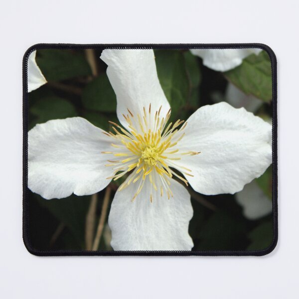 Item preview, clematis flowers designed and sold by KathleenDawson.