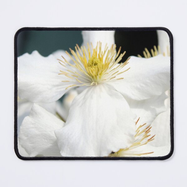 Item preview, clematis flowers designed and sold by KathleenDawson.