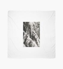 Draped in Splendor Scarf